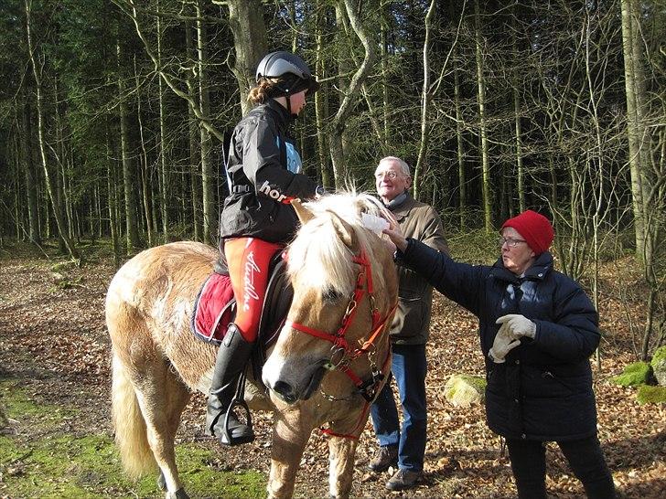 Anden særlig race Safran - Feldborg ridtet 2012 <3 billede 2