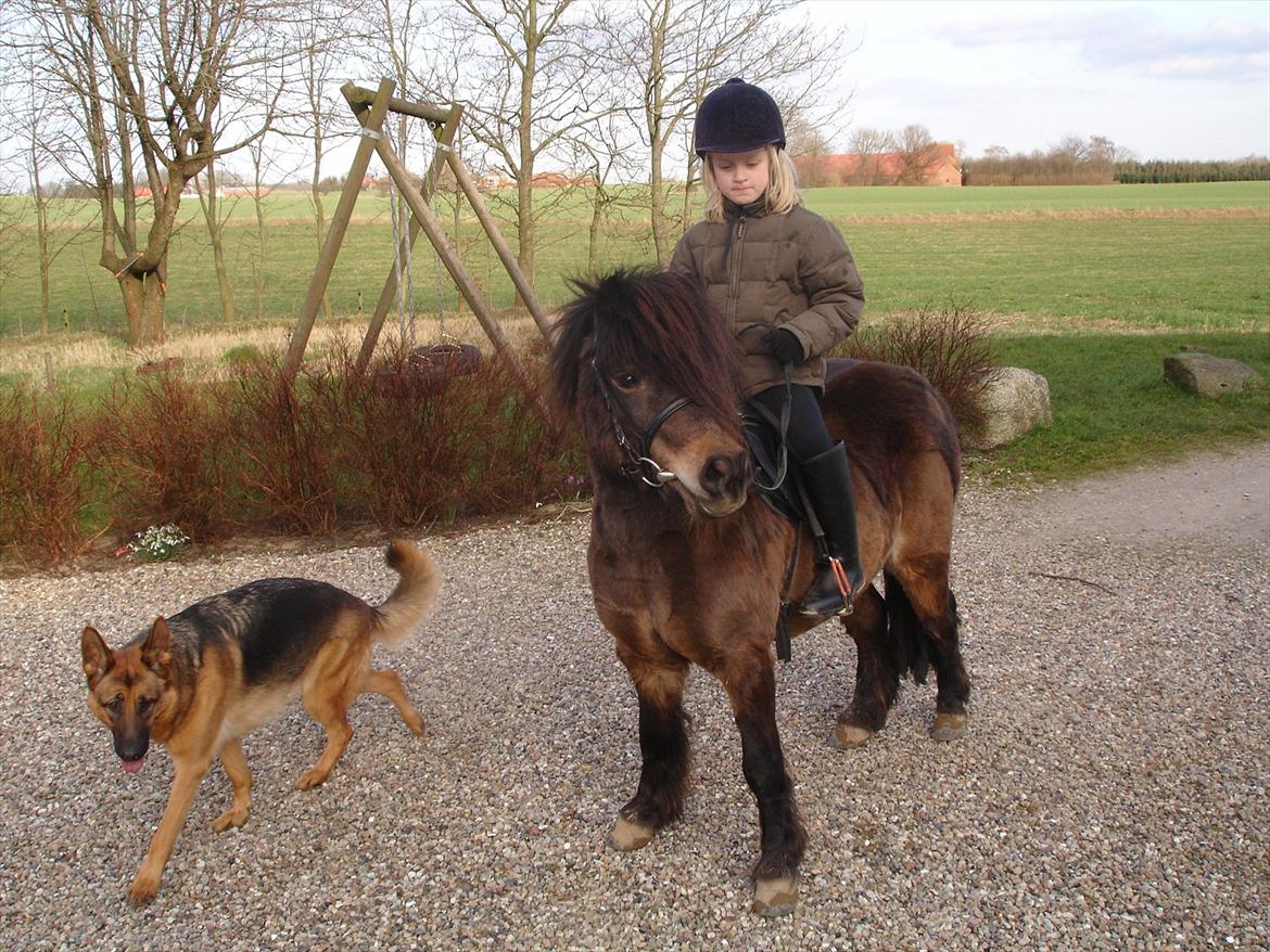Knabstrupper Gizmo - lille pot - My soulmate <33 - Du er ligesom en stjerne man kan ikke altid se dig men man ved du er der <33 billede 15