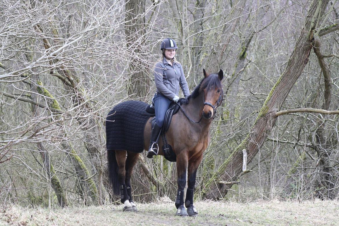 Irsk Sportspony Laney's Max - Max og jeg i skoven d. 15 marts 2012 (-: <3 taget af PL-foto.  billede 2