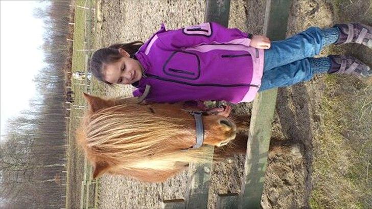 Islænder helsehjemmet´s kvikka - det er min venindes lillesøster der er på det billede:-) billede 1