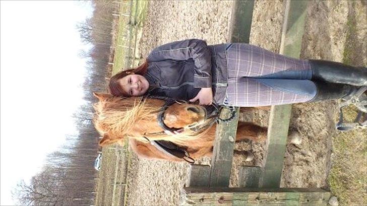 Islænder helsehjemmet´s kvikka - min veninde.:-)  billede 2