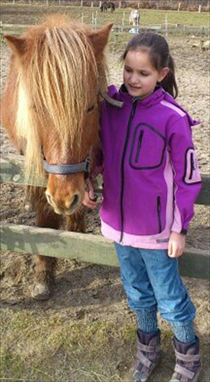 Islænder helsehjemmet´s kvikka - igen mia-mai og kvikka billede 3