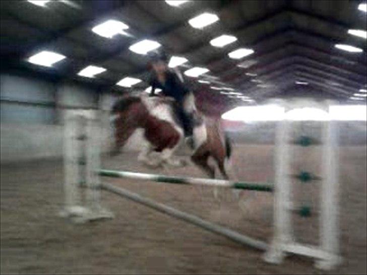 Pinto Mille - 75 cm på Mille:') Så stolt! Da jeg fik hende ville hun ikke gå over en bom:')♥
- Undskyld kvaliteten med det er taget ud fra video:) Håber at i overlever:) billede 2