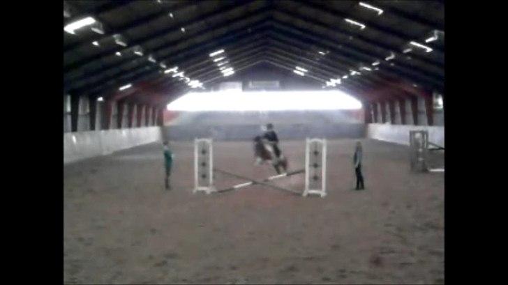 Pinto Mille - Spring på Mille:') Læg mærke til hvor meget hun springer til♥♥
- Undskyld kvaliteten med det er taget ud fra video:) Håber at i overlever:) billede 6