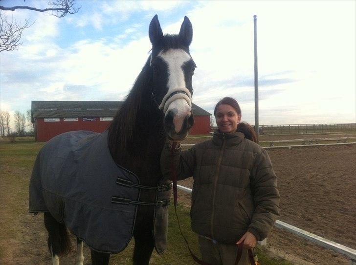 Anden særlig race Leal - velkommen til Leal's profil billede 1