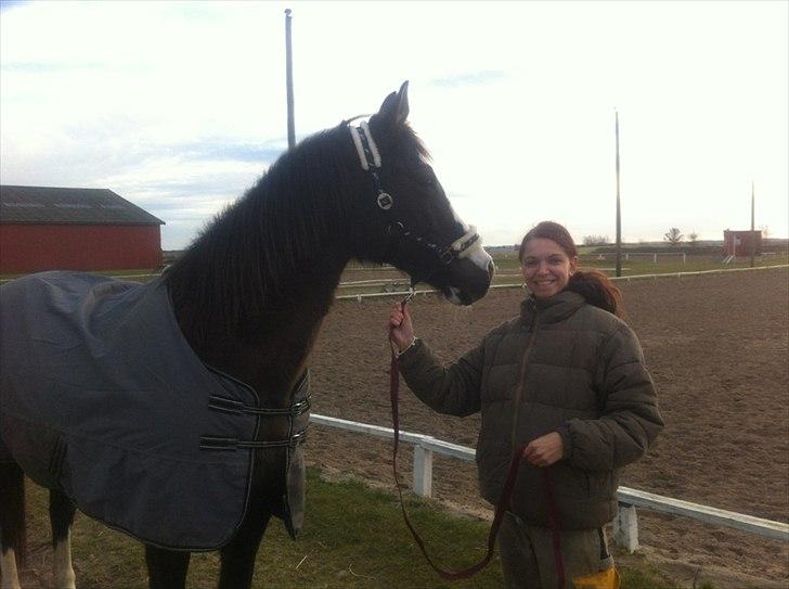 Anden særlig race Leal billede 3