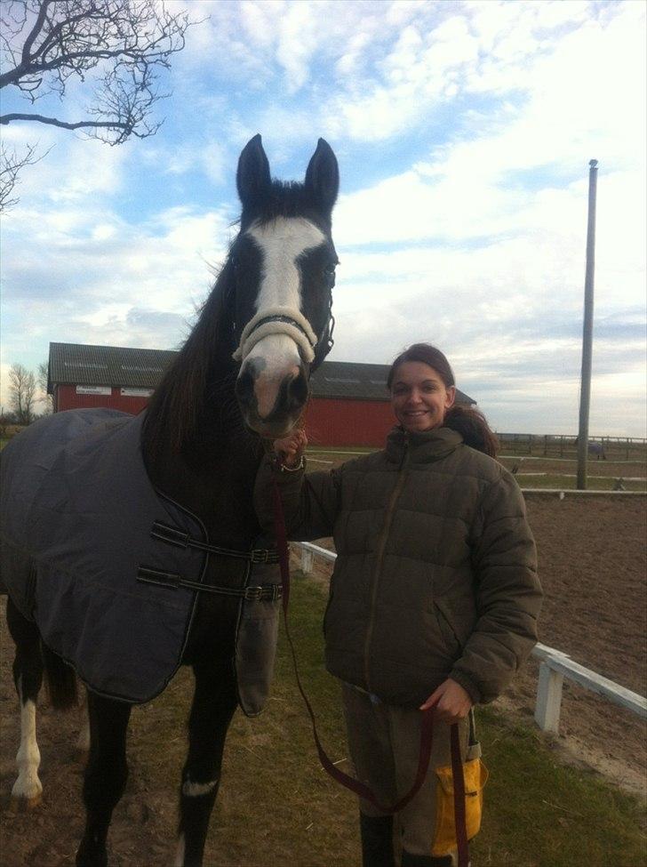 Anden særlig race Leal billede 2