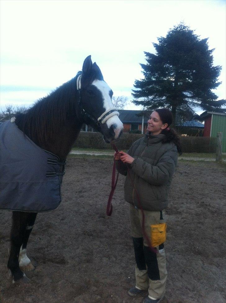 Anden særlig race Leal billede 4