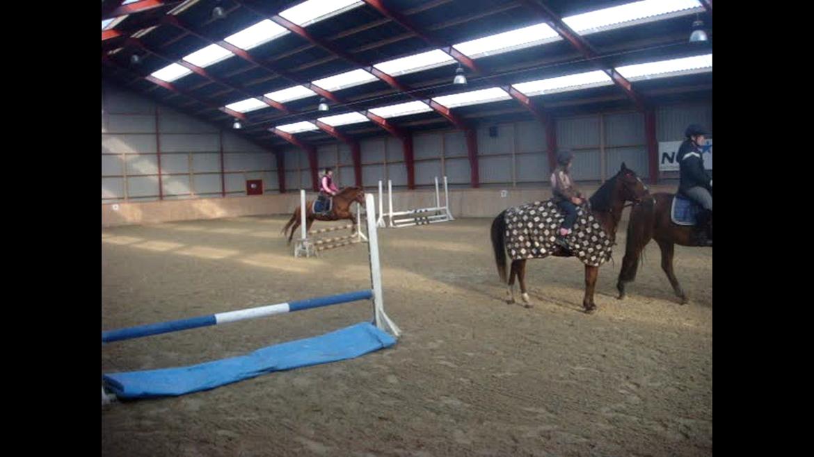 Anden særlig race Ravnsagergaards Torino - Springtræning:-D

Undskyld kvaliteten:-/
Billedet er taget ud fra video billede 4