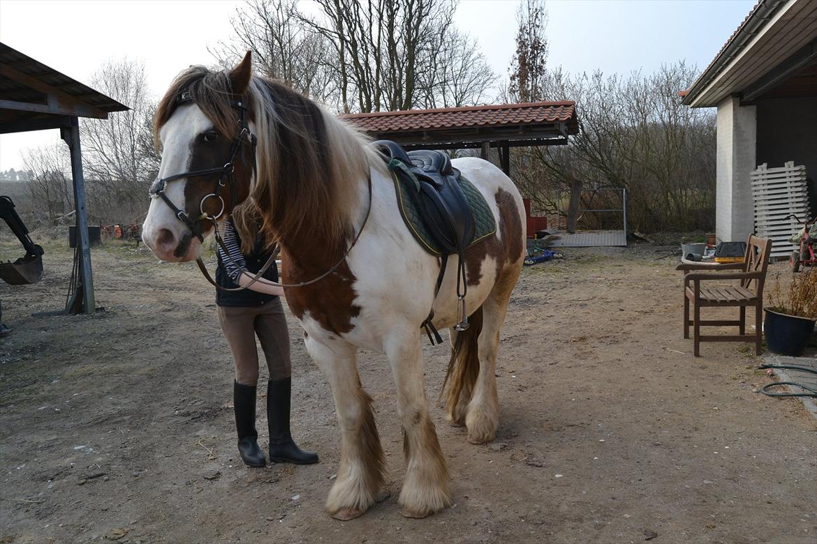 Tinker Lukas *Den Bedste*<3 (Gamle part) billede 2