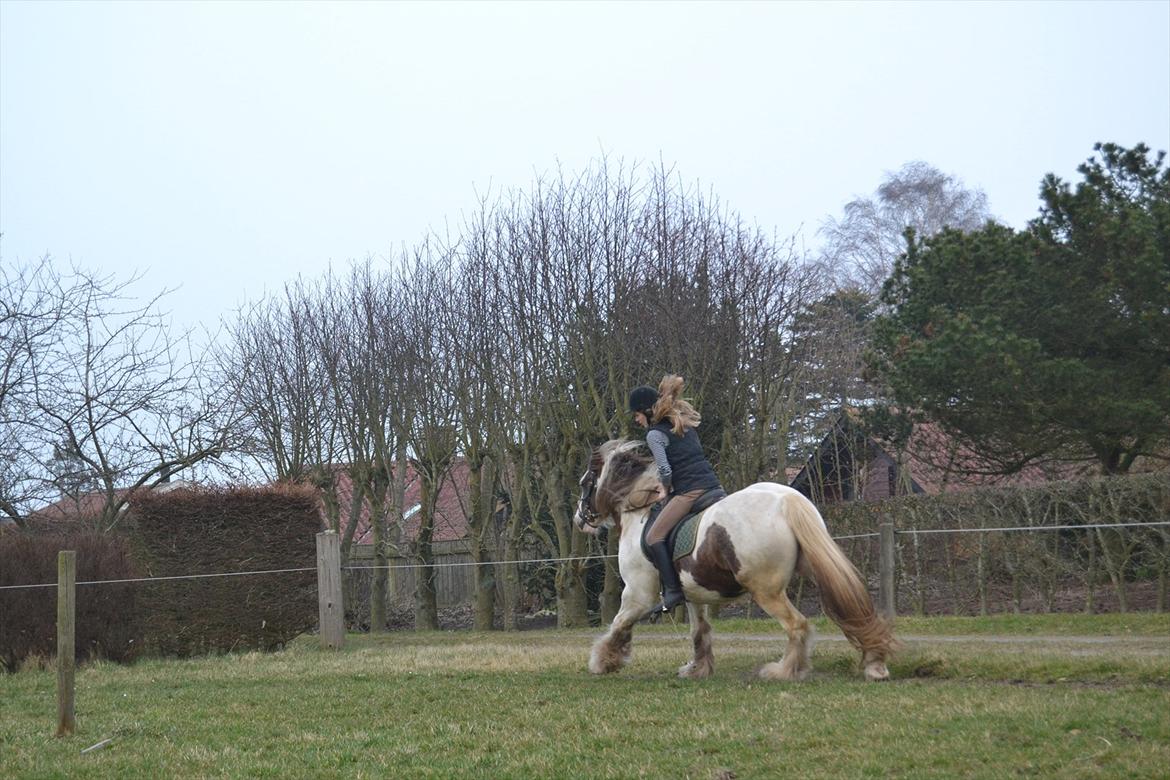 Tinker Lukas *Den Bedste*<3 (Gamle part) billede 5