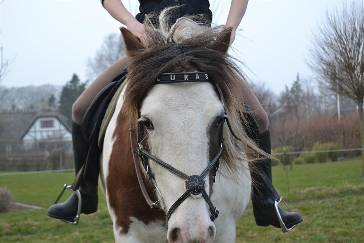 Tinker Lukas *Den Bedste*<3 (Gamle part) billede 6