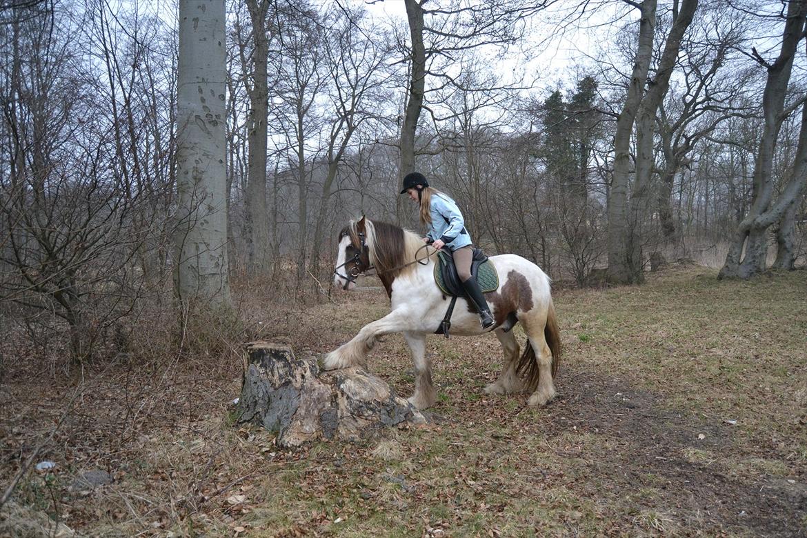 Tinker Lukas *Den Bedste*<3 (Gamle part) billede 7