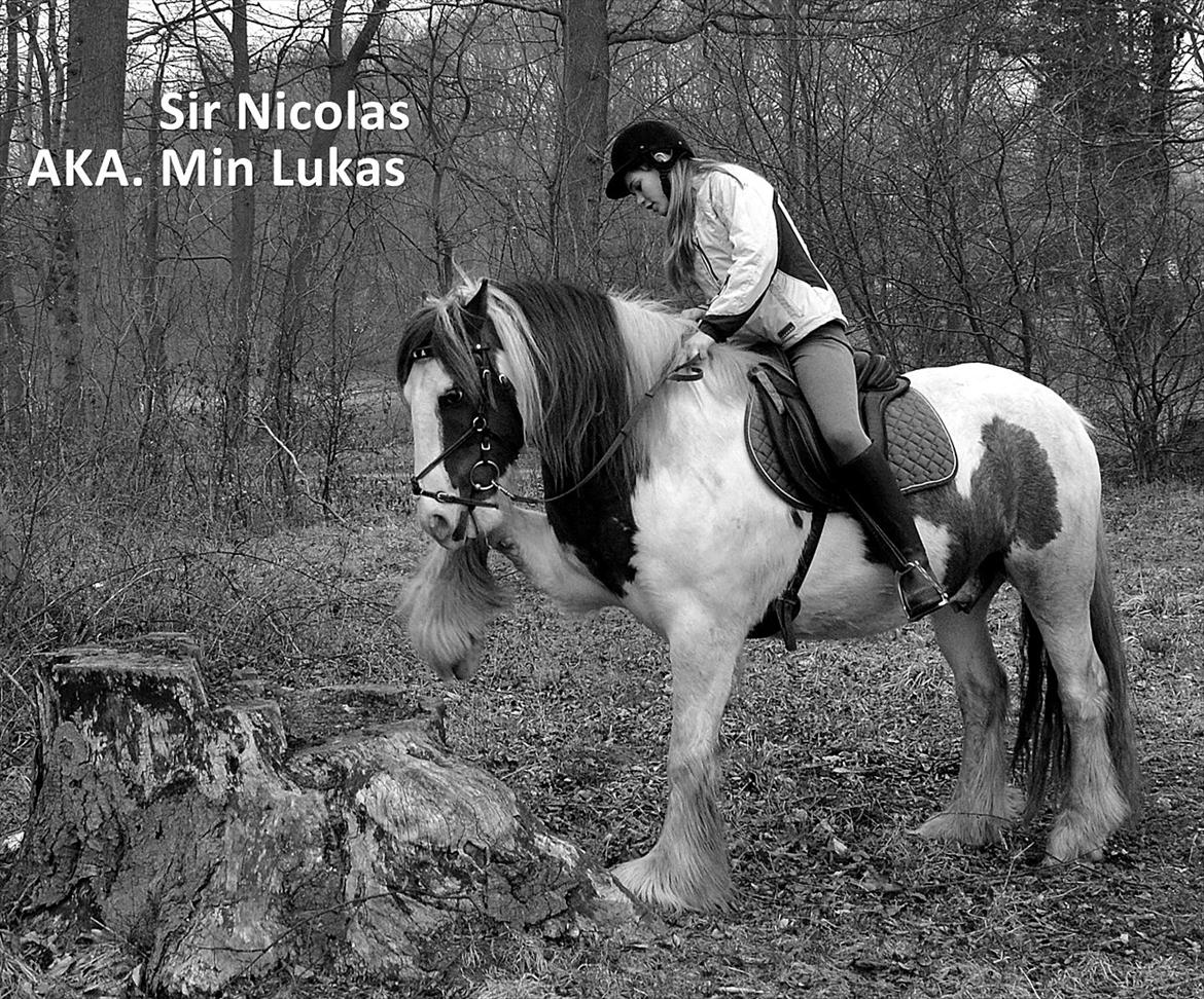 Tinker Lukas *Den Bedste*<3 (Gamle part) billede 1