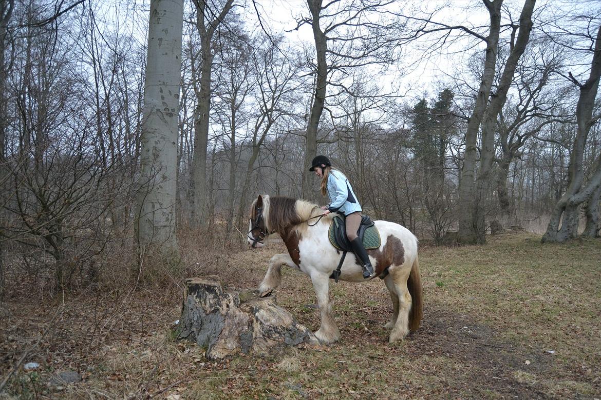 Tinker Lukas *Den Bedste*<3 (Gamle part) billede 8