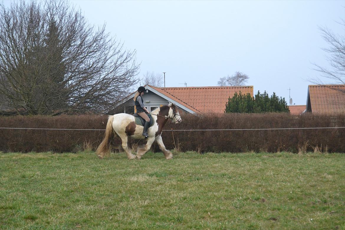 Tinker Lukas *Den Bedste*<3 (Gamle part) billede 14