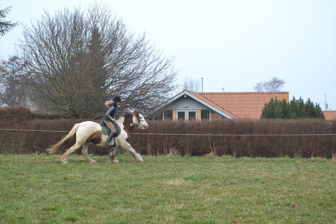 Tinker Lukas *Den Bedste*<3 (Gamle part) billede 15