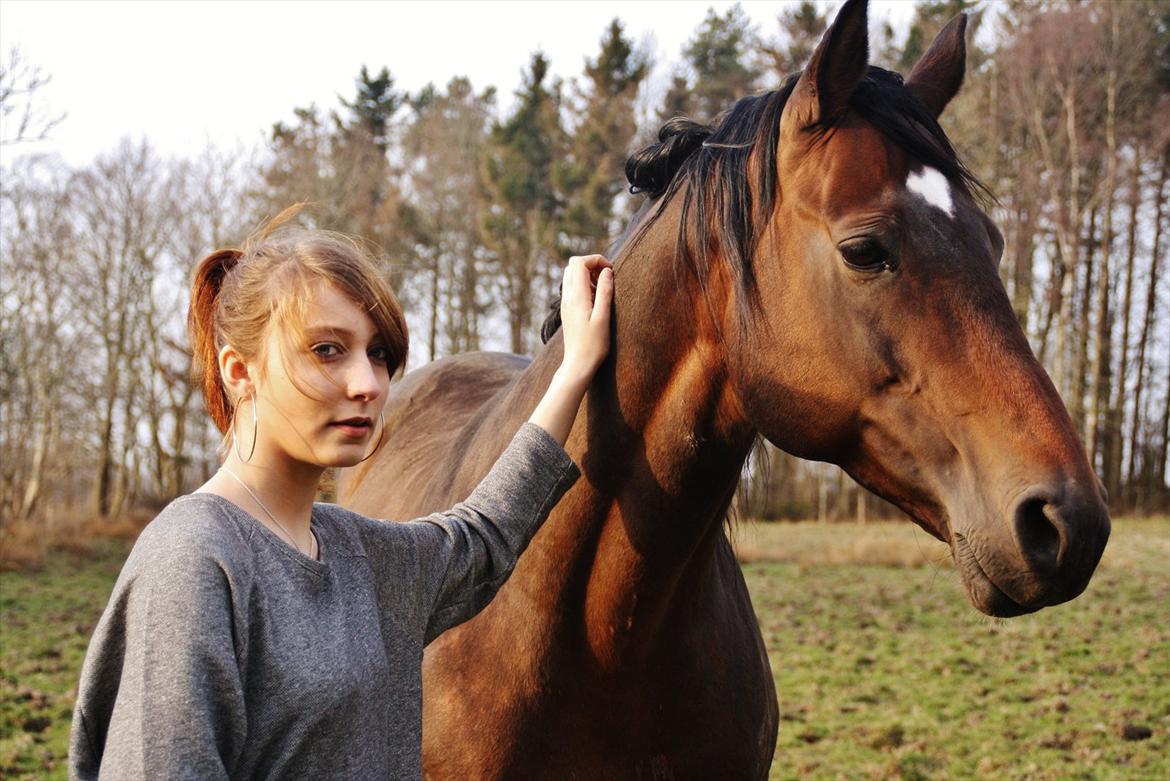 Dansk Varmblod skovvejens Mikado RIP Min vild hest ;')<3 - du er bare så dejlig
NYT billede 14