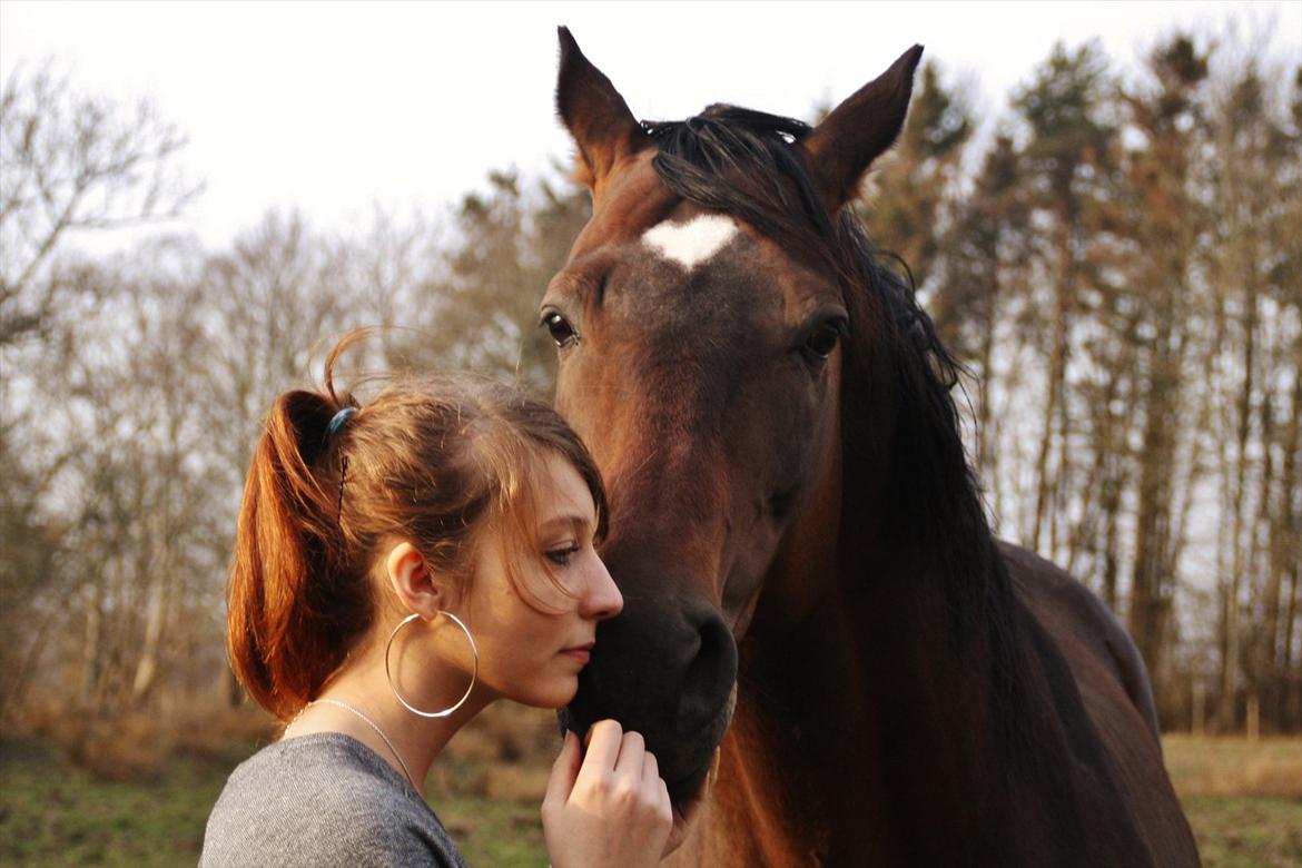 Dansk Varmblod skovvejens Mikado RIP Min vild hest ;')<3 - jeg forteller dig lige en lille hemelighed<3
NYT billede 18