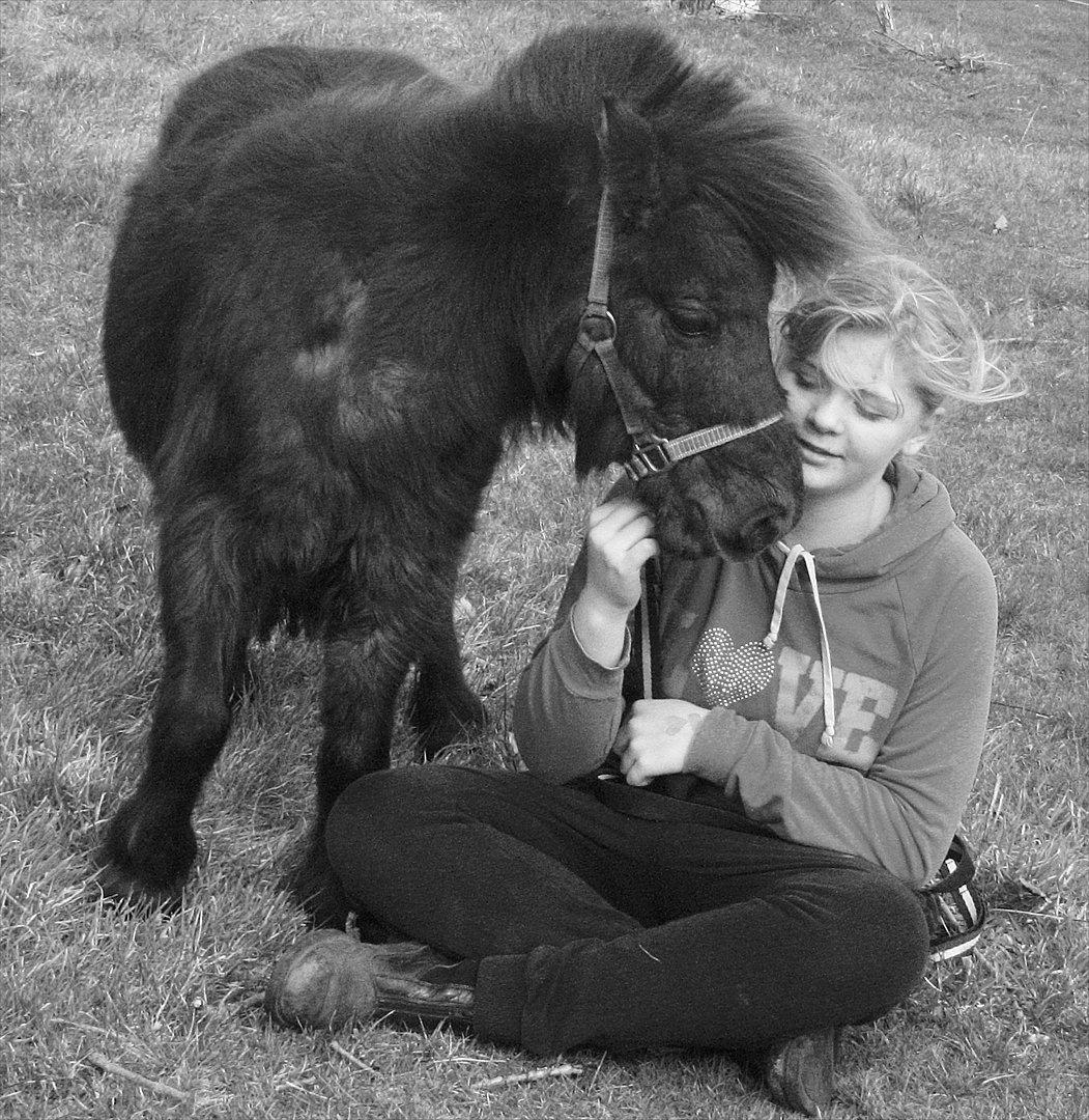 Dansk Miniature Allerupnords Queen - No words can describe what we have together..<33<33  billede 7