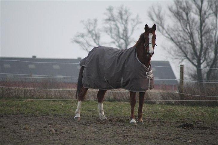 Traver Powerful Winning - Elsker dig af hele mit hjerte, og glæder mig til de eventyr vi skal ud på, du & jeg <3 billede 7