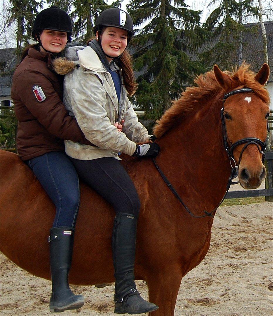 Tysk Sportspony Bacardi - Roomse og jeg på verdens sødeste pony :) billede 9