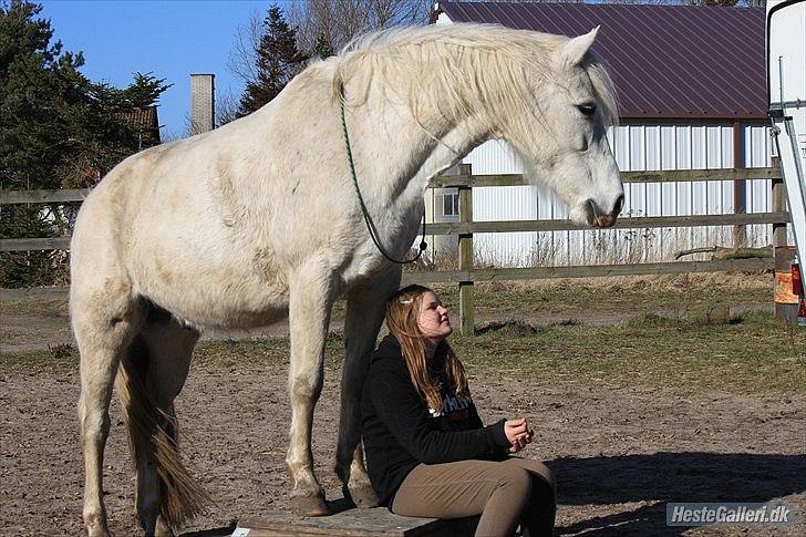 Pinto Rollo | Savnet & elsket foraltid | - 19. Vi så begge to den samme vej, vi skulle gå den sammen, men kun for en tid. Jeg prøvede hele tiden at udskyde det, men jeg kunne ikke stoppe tiden..  :-'( Men basse tak for en fantastisk tid! <3 Foto: SR-photo. billede 19