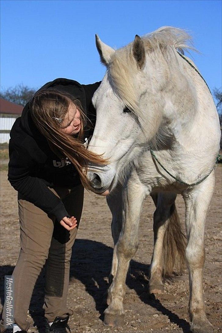 Pinto Rollo | Savnet & elsket foraltid | - 16.You dosent have to say a word, a look in you're eyes says everything. Foto: SR-photo. billede 16