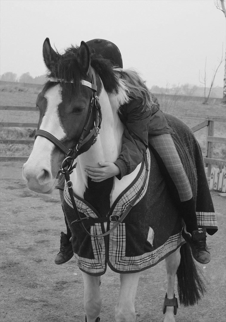 Pinto DAUGAARDS ABSINT - Det handler ikke om at finde en at leve med, men om at finde en man ikke kan leve uden. Foto: Maja Milan. billede 8