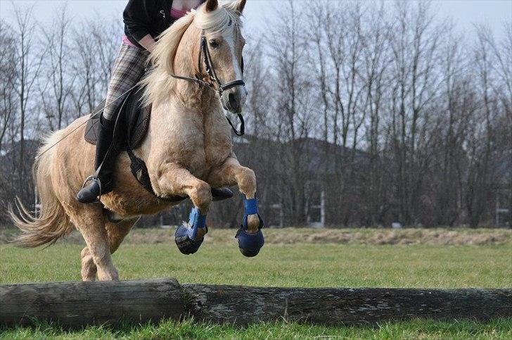 Anden særlig race Timon [Tld.redet] billede 11