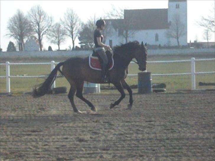 Anden særlig race St. A. Washeba - 17/3-2012 :) billede 12