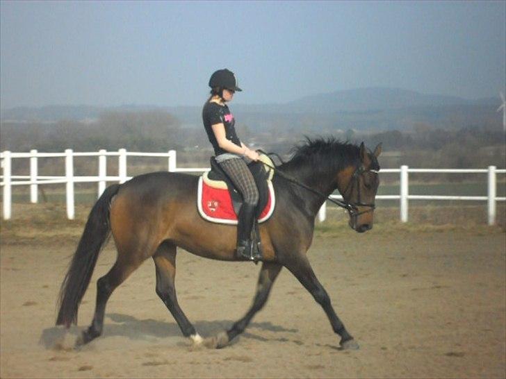 Anden særlig race St. A. Washeba - 17/3-2012 :) billede 13