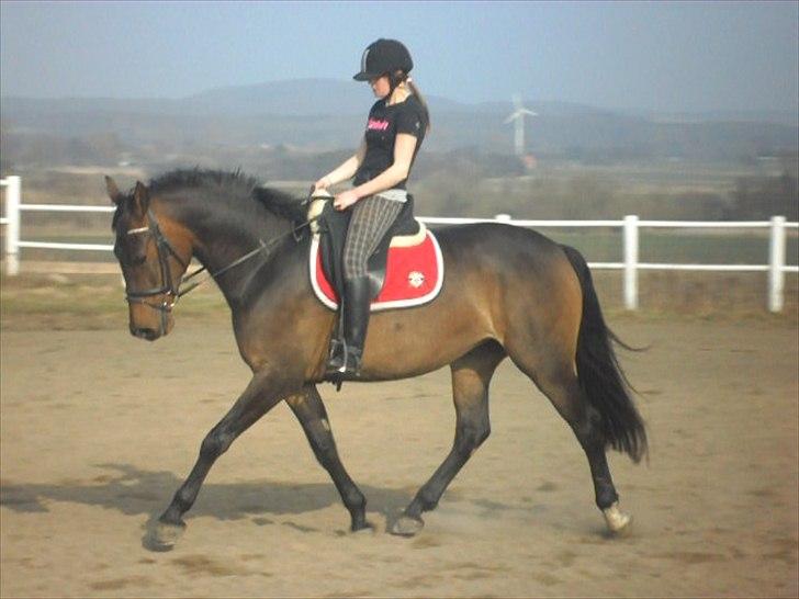 Anden særlig race St. A. Washeba - 17/3-2012 :) billede 11