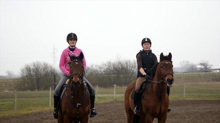 Fuldblod (XX) Colour Blind (Ire) - "den ved, hvornår du er tilfreds 
den ved, hvornår du har det godt 
den ved, hvornår du er stolt
Og den ved ALTID, hvornår du har gulerødder"
-R.I.P TEAM Fuldblod!! billede 2