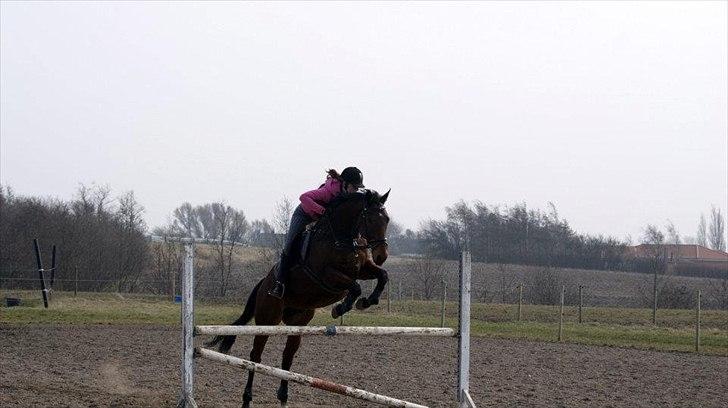 Fuldblod (XX) Colour Blind (Ire) - ’’hellere fortryde noget du har gjort. End noget du aldrig fik gjort.’’
-Du var den bedste beslutning, jeg nogen sinde har taget skat!! <3 billede 3