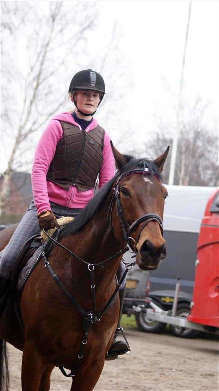 Fuldblod (XX) Colour Blind (Ire) - “When I miss you and when my tears are falling, then it hurts. Without you I´m not me. It can´t changed. Without you i can not work. I wish that you would come back. But it will never be the same. I miss you in my arms. I miss you in my heart. Come back.  billede 4