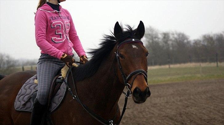 Fuldblod (XX) Colour Blind (Ire) - "Be strong now, because things will be better! It might be stormy right now, but it can't rain forever!" billede 5