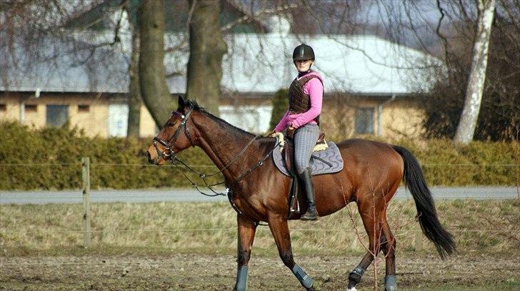 Fuldblod (XX) Colour Blind (Ire) - ”Gør det i dag for i morgen er det måske for sent”
- savner dig skat!! :* billede 7