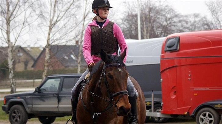 Fuldblod (XX) Colour Blind (Ire) - "Kærlighed er, at give en anden person magten til at ødelægge dig fuldstændig. Men samtidig at stole på at personen aldrig vil gøre det mod dig" billede 8