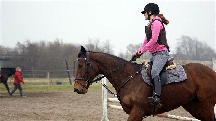 Fuldblod (XX) Colour Blind (Ire) - "Everybody wants happiness, nobody wants pain, but you can't make a rainbow without a little rain." billede 9