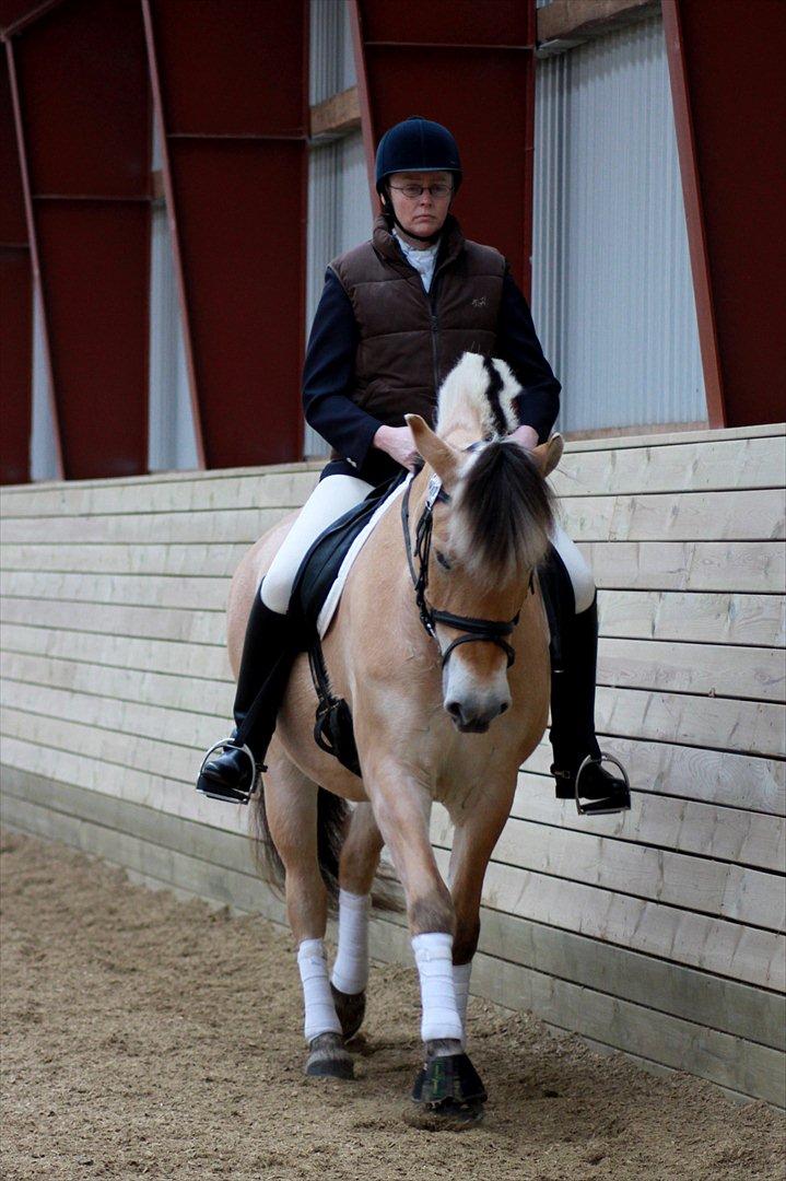 Fjordhest Ingunn Granlygaard - Ingunn og Pia til stævne på Vasehus d. 17.03.2012 billede 17