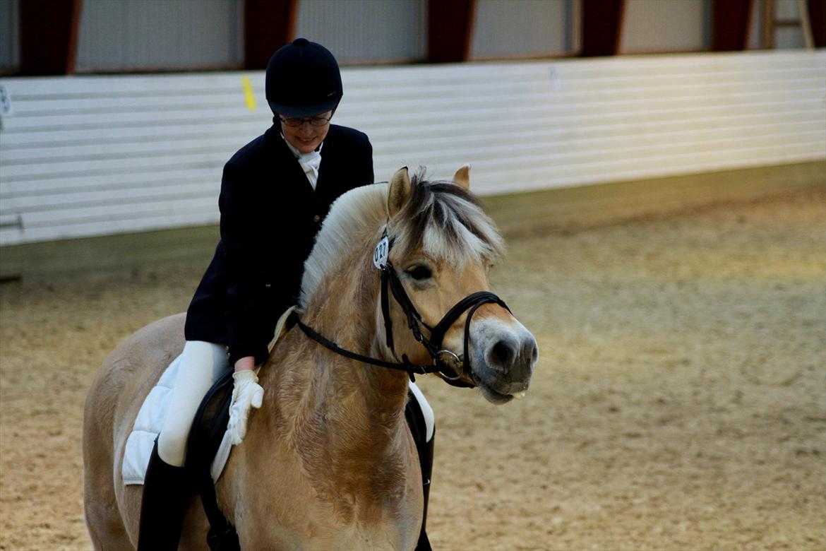 Fjordhest Ingunn Granlygaard - Ingunn og Pia til stævne på Vasehus d. 17.03.2012 billede 19