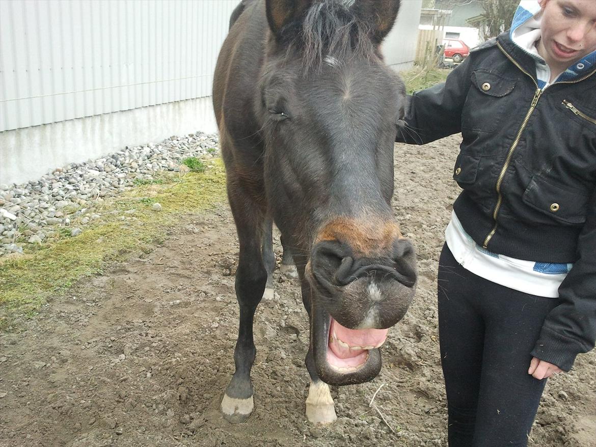 Oldenborg Akeem <3 - Jeg gaber lige mor ;) hehe sådan ser det så ud når man er lidt træt på sådan en lang rejse  billede 15