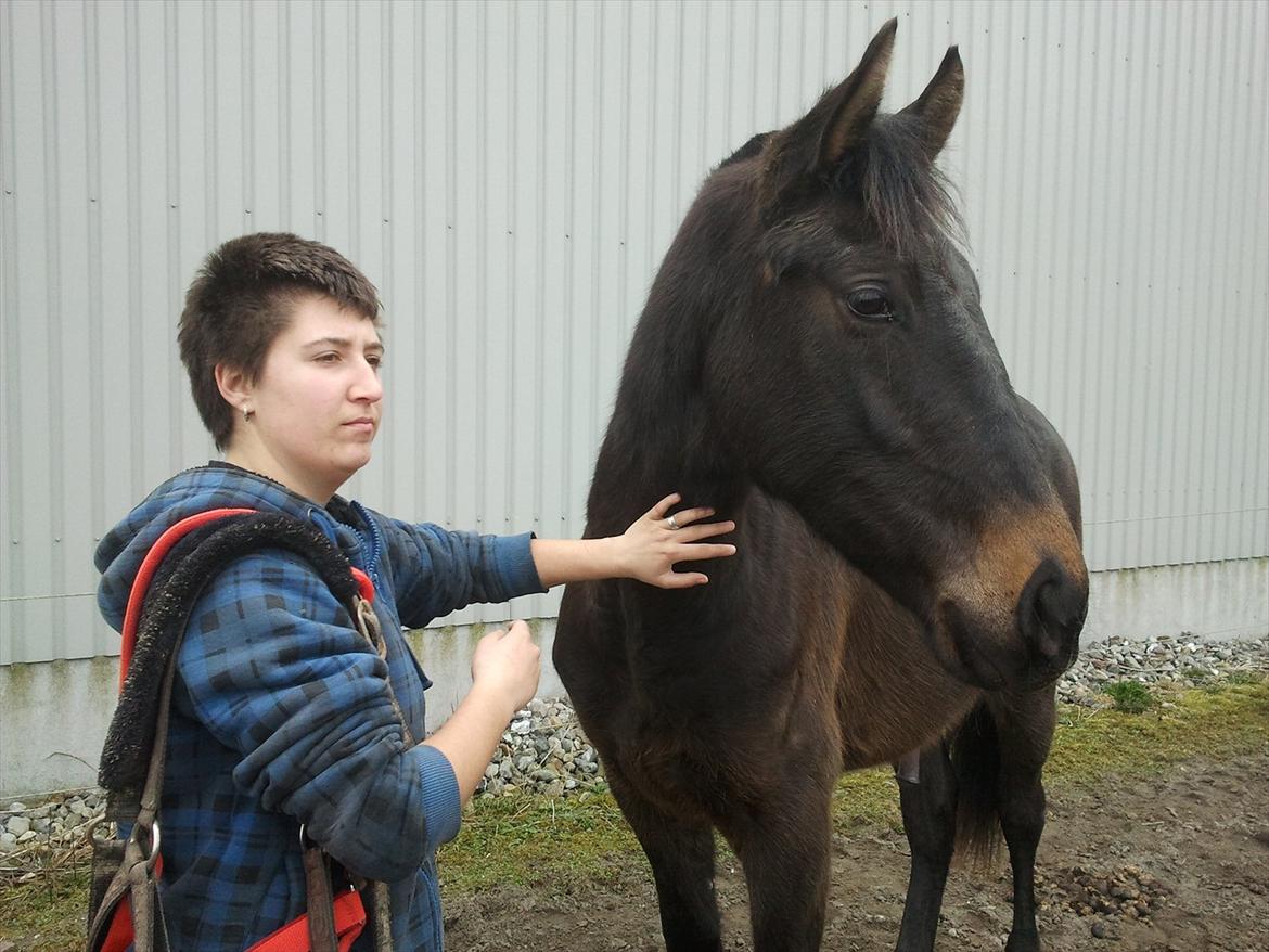 Oldenborg Akeem <3 - Gad vide hvad de andre haste laver .. Ja de laver ihvertfald noget som han synes var spændende. billede 16