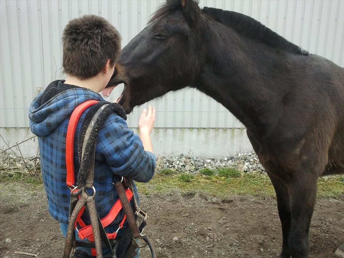Oldenborg Akeem <3 - Så gaber vi lige igen se mine bisser  billede 17