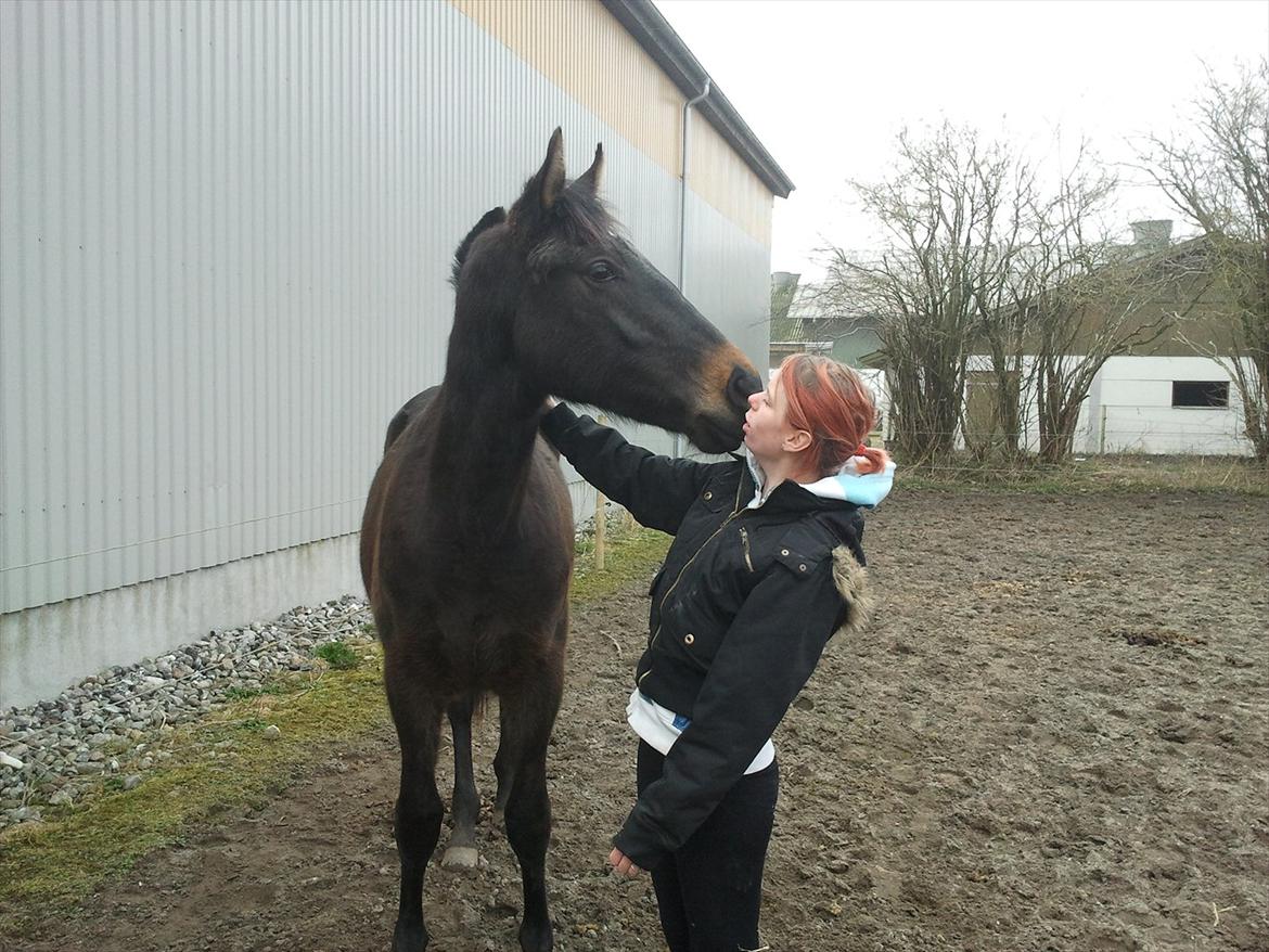 Oldenborg Akeem <3 - Synes lige du skal have et kys :) .. Første dag og han ville have et kys se det er da sødt :D billede 18