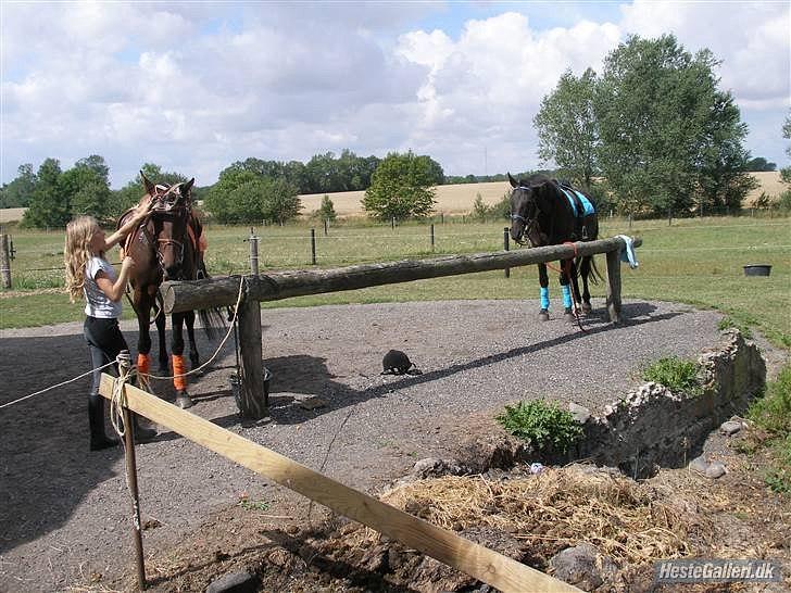 Oldenborg Zeus - Red billede 10