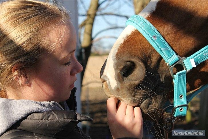 Tysk Sportspony Erf Montana*A-PONY* - Jeg ville ikke kunne leve uden dig <3 Foto:Freja:-) billede 9