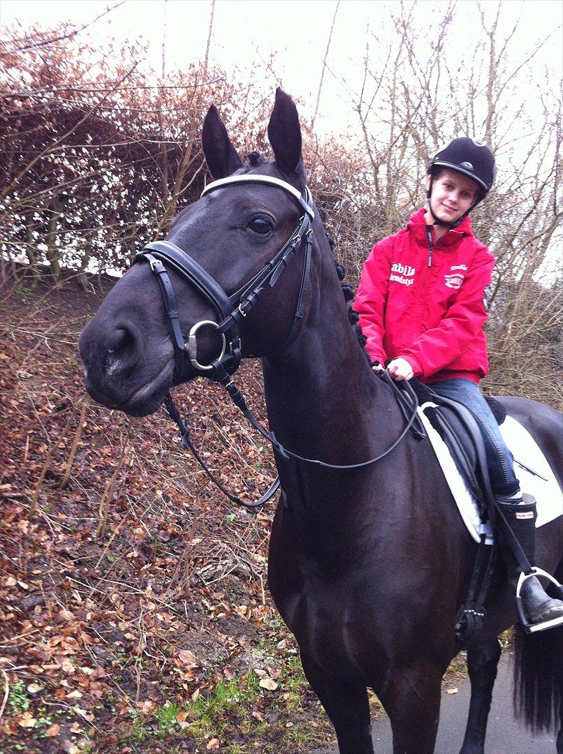 Anden særlig race Iver - mig og Sorte billede 11