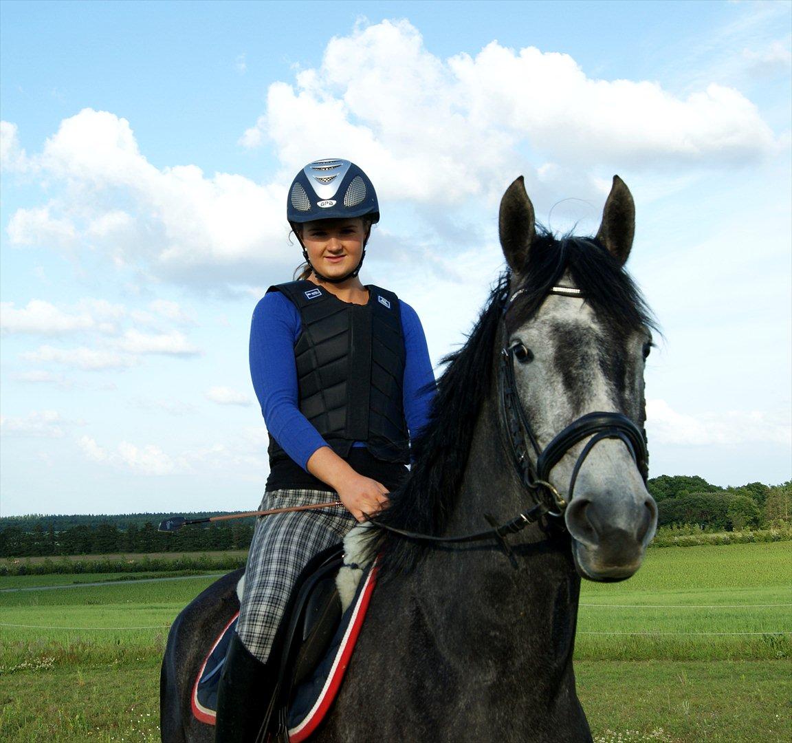 Dansk Varmblod Amona - Amona barnet!<3  billede 16